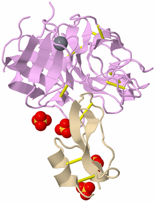 Image Biological Unit 1