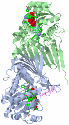 Image Asym./Biol. Unit - sites