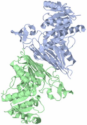 Image Biological Unit 1