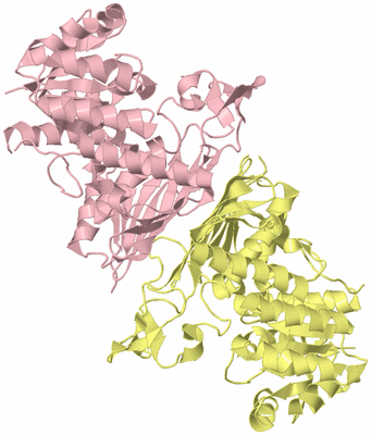 Image Biological Unit 2