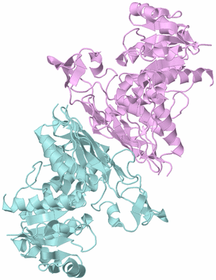 Image Biological Unit 3