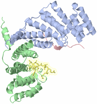 Image Biological Unit 2