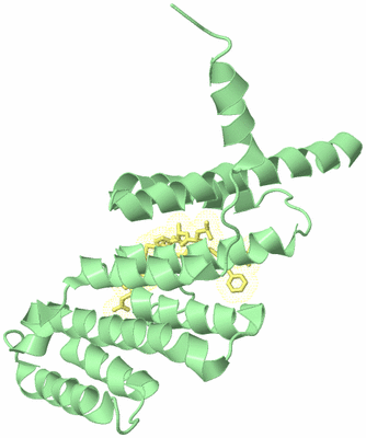 Image Biological Unit 4