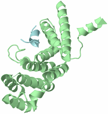 Image Biological Unit 3