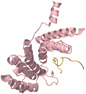 Image Biological Unit 4