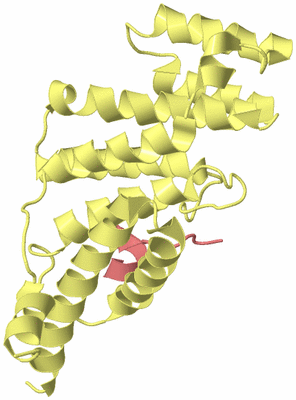 Image Biological Unit 5