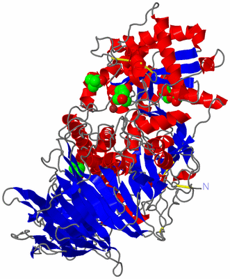 Image Asym./Biol. Unit