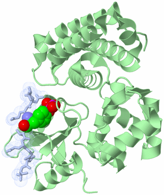 Image Biological Unit 3