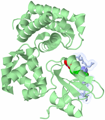 Image Biological Unit 3