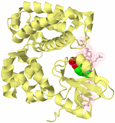 Image Biological Unit 2