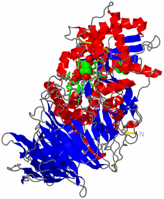 Image Asym./Biol. Unit - sites