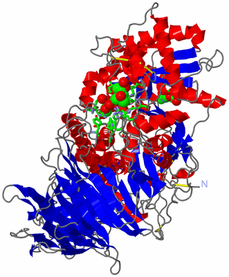 Image Asym./Biol. Unit - sites