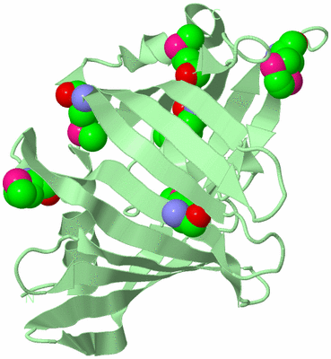 Image Biological Unit 2