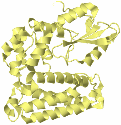 Image Biological Unit 4