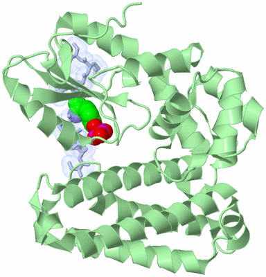 Image Biological Unit 5