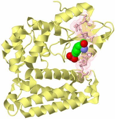 Image Biological Unit 6