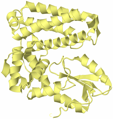 Image Biological Unit 4