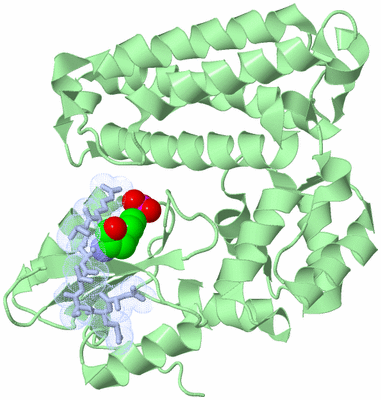 Image Biological Unit 5