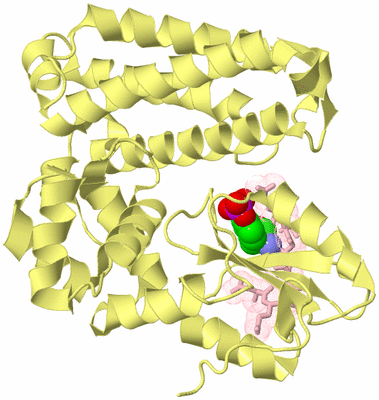 Image Biological Unit 6