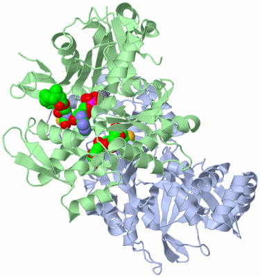 Image Asym./Biol. Unit