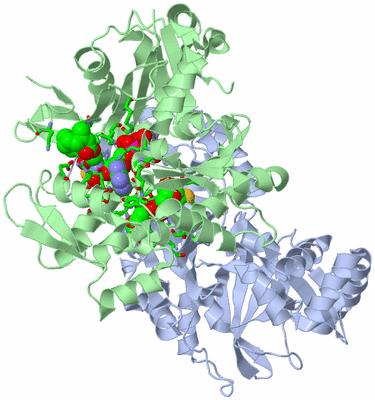 Image Asym./Biol. Unit - sites