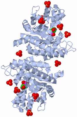 Image Biological Unit 1