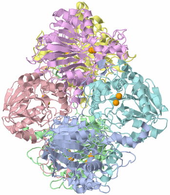 Image Asym./Biol. Unit