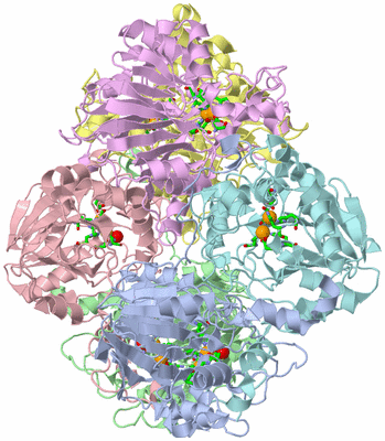 Image Asym./Biol. Unit - sites