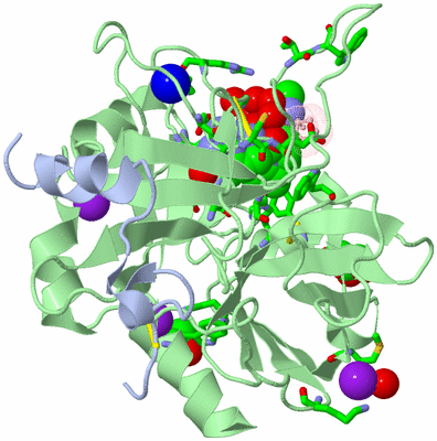 Image Asym./Biol. Unit - sites