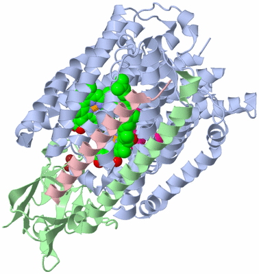 Image Asym./Biol. Unit