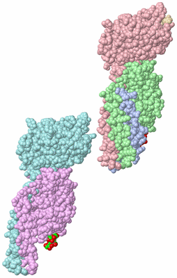 Image Biological Unit 1