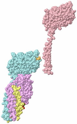 Image Biological Unit 2