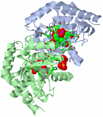 Image Asym./Biol. Unit - sites