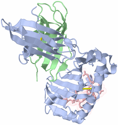 Image Biological Unit 1