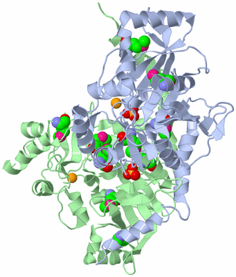 Image Asym./Biol. Unit