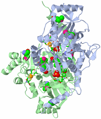 Image Asym./Biol. Unit - sites