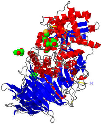 Image Asym./Biol. Unit