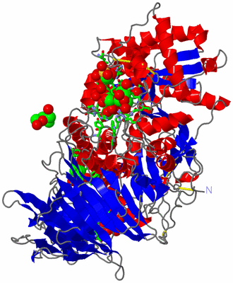 Image Asym./Biol. Unit - sites