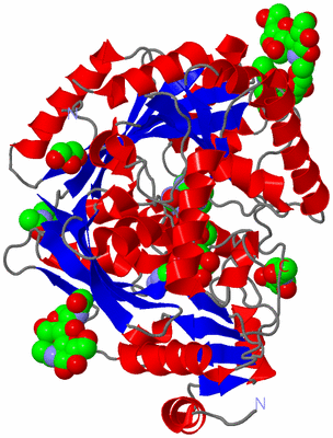 Image Asym./Biol. Unit