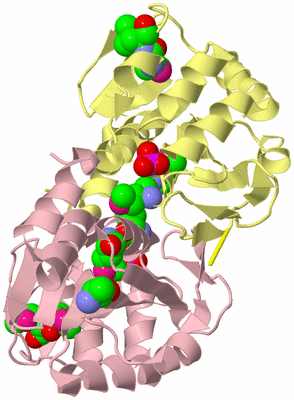 Image Biological Unit 2