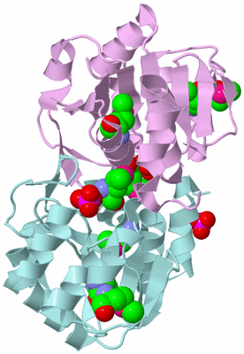 Image Biological Unit 3