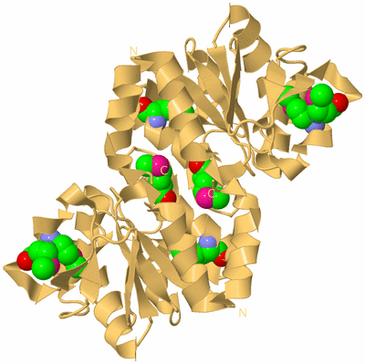 Image Biological Unit 4