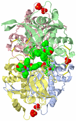 Image Asym./Biol. Unit