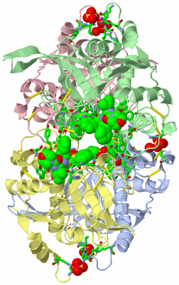 Image Asym./Biol. Unit - sites