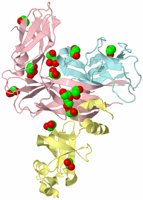 Image Asym./Biol. Unit