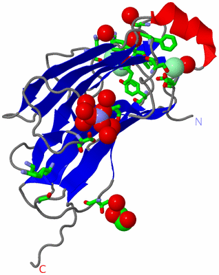 Image Asym./Biol. Unit - sites