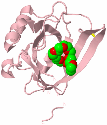 Image Biological Unit 3