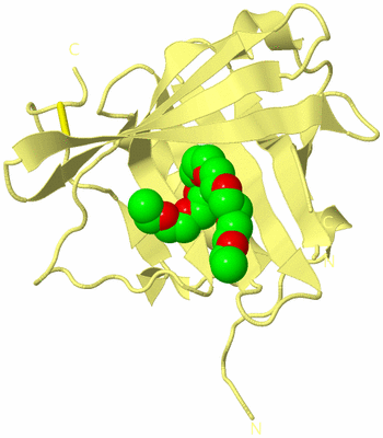 Image Biological Unit 4