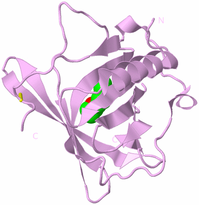 Image Biological Unit 5