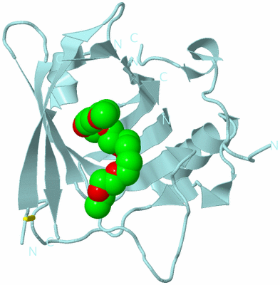 Image Biological Unit 6